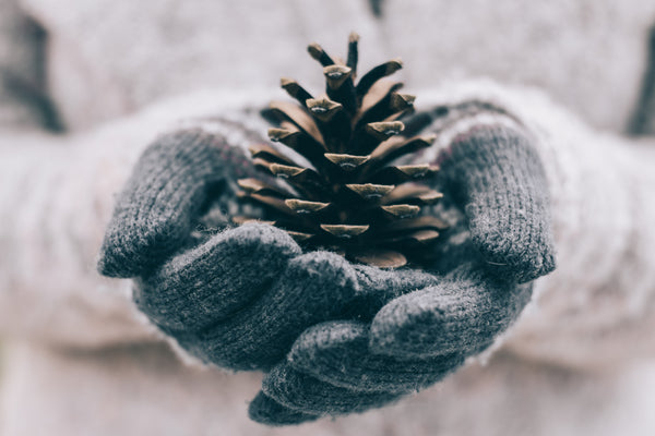 Winter Essentials